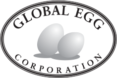 Global Egg